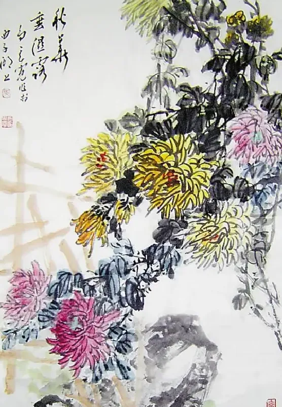 马其宽·秋华