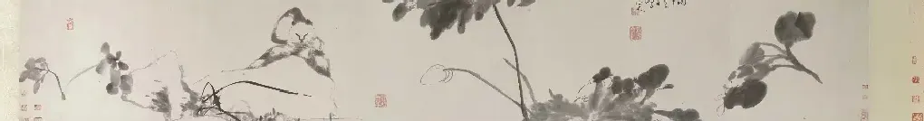 八大山人·猫石图卷