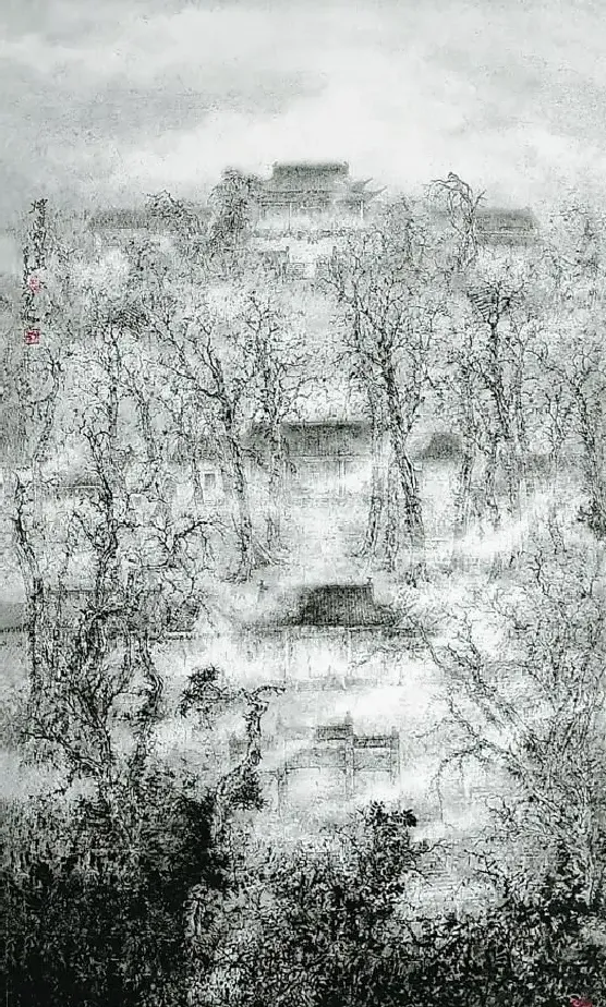 田林海·烟雨南孔庙