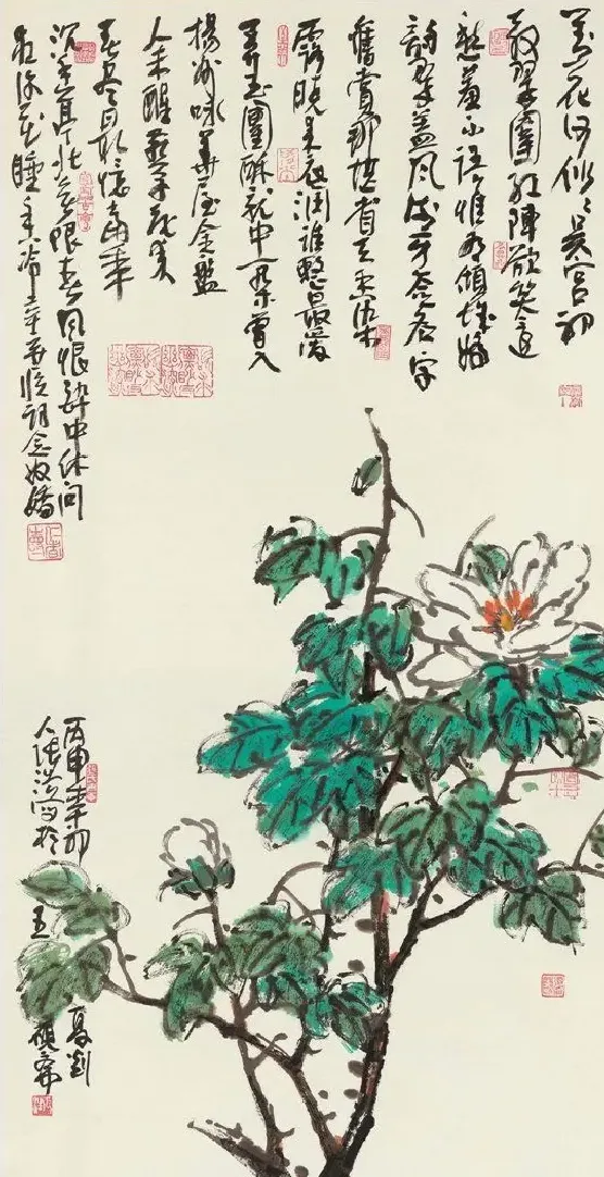 张浩·富贵能安素
