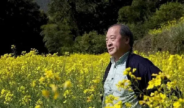 王书平·王书平