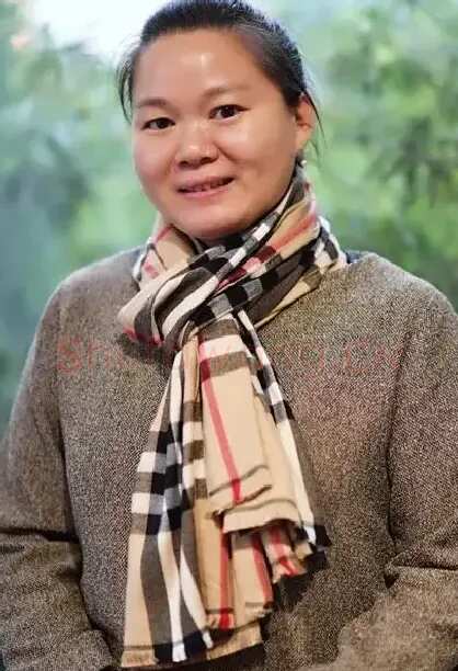 段力心