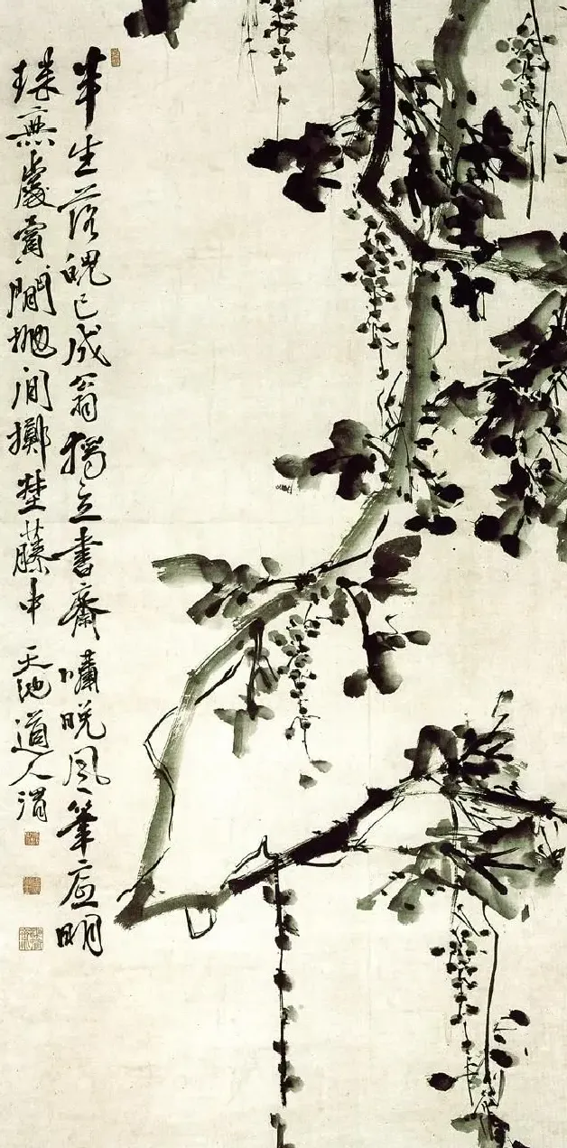 徐渭·墨葡萄图