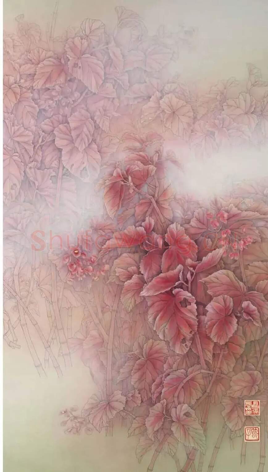 聂瑞辰·竹节海棠