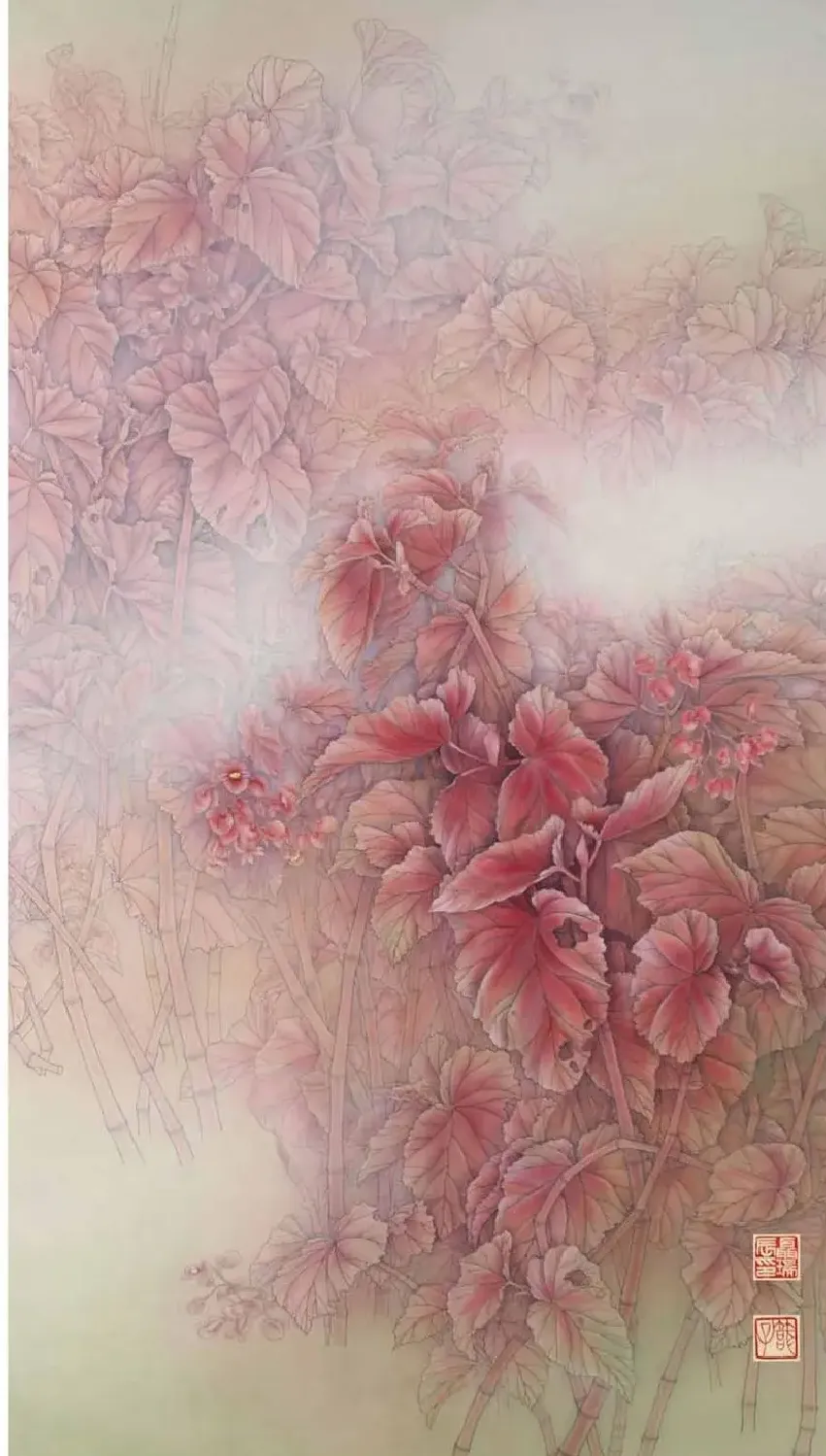 聂瑞辰·竹节海棠