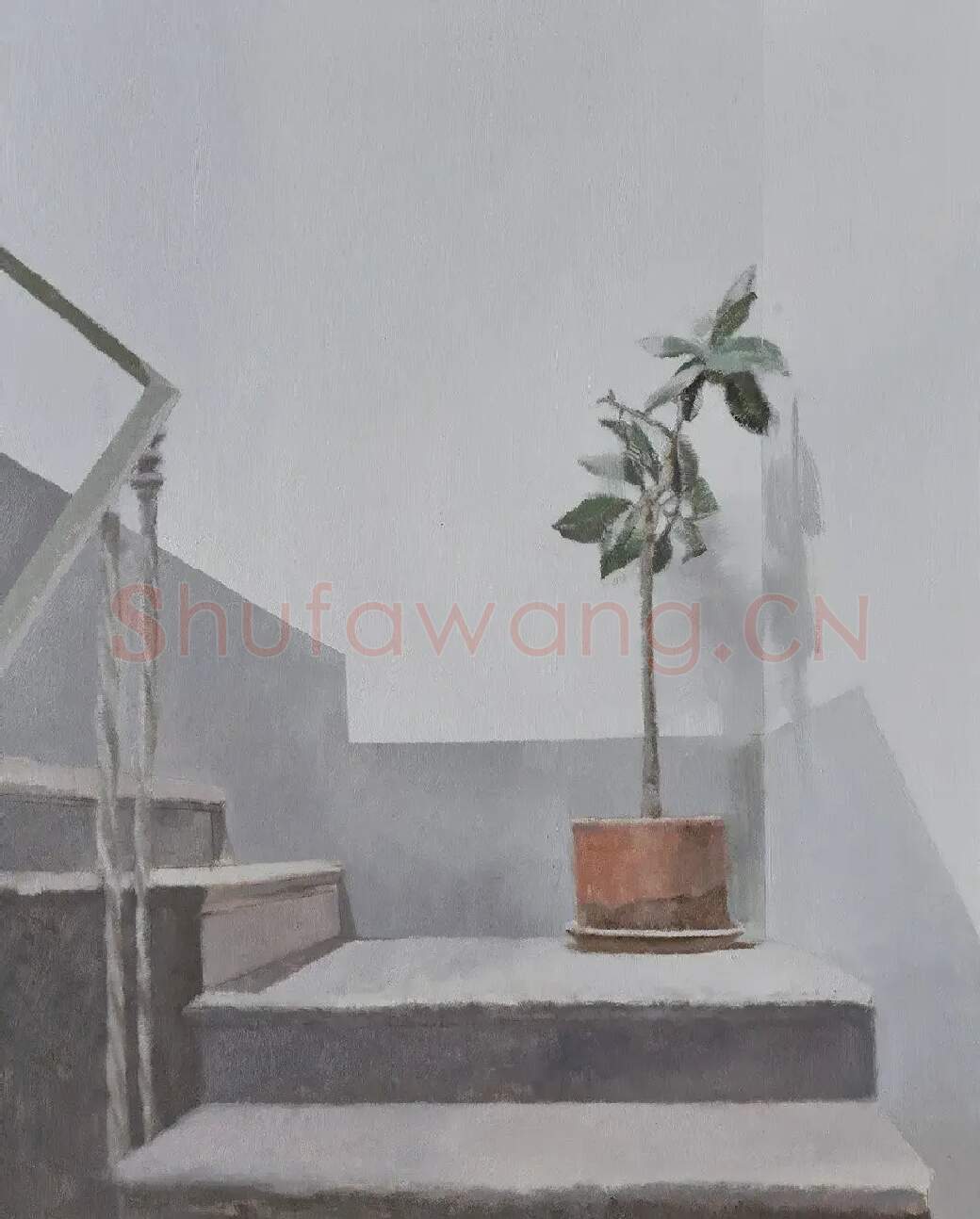 许静晶·岁月静好