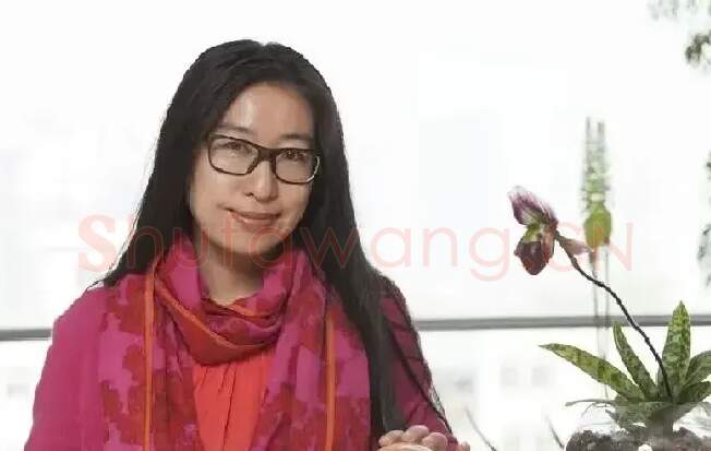 杨洋