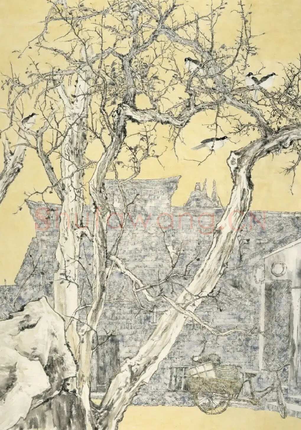 马晓洁·晨