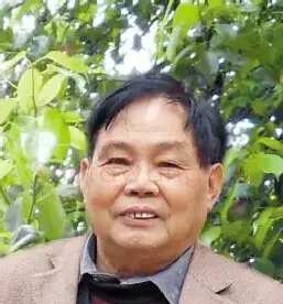 贺宣华