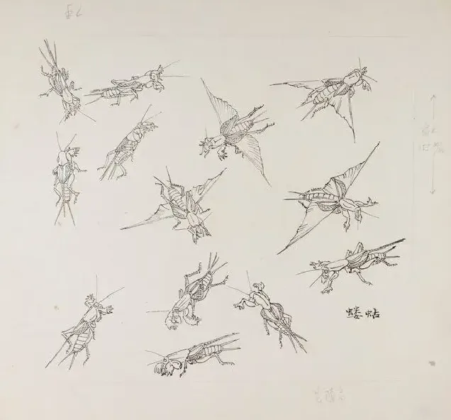 张继馨·蝼蛄