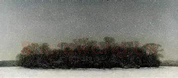 白小华·瑞雪祥琪