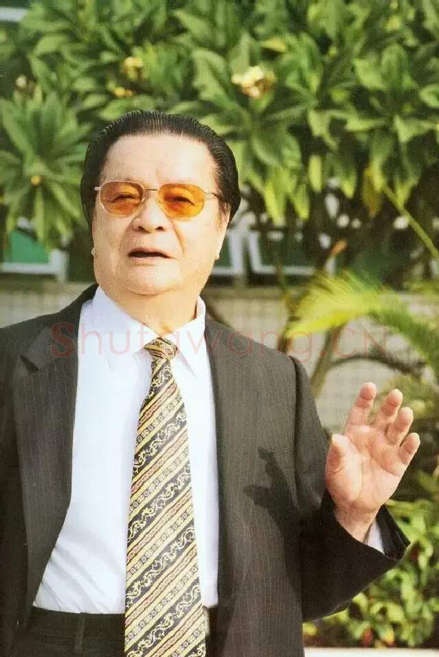 叶绿野