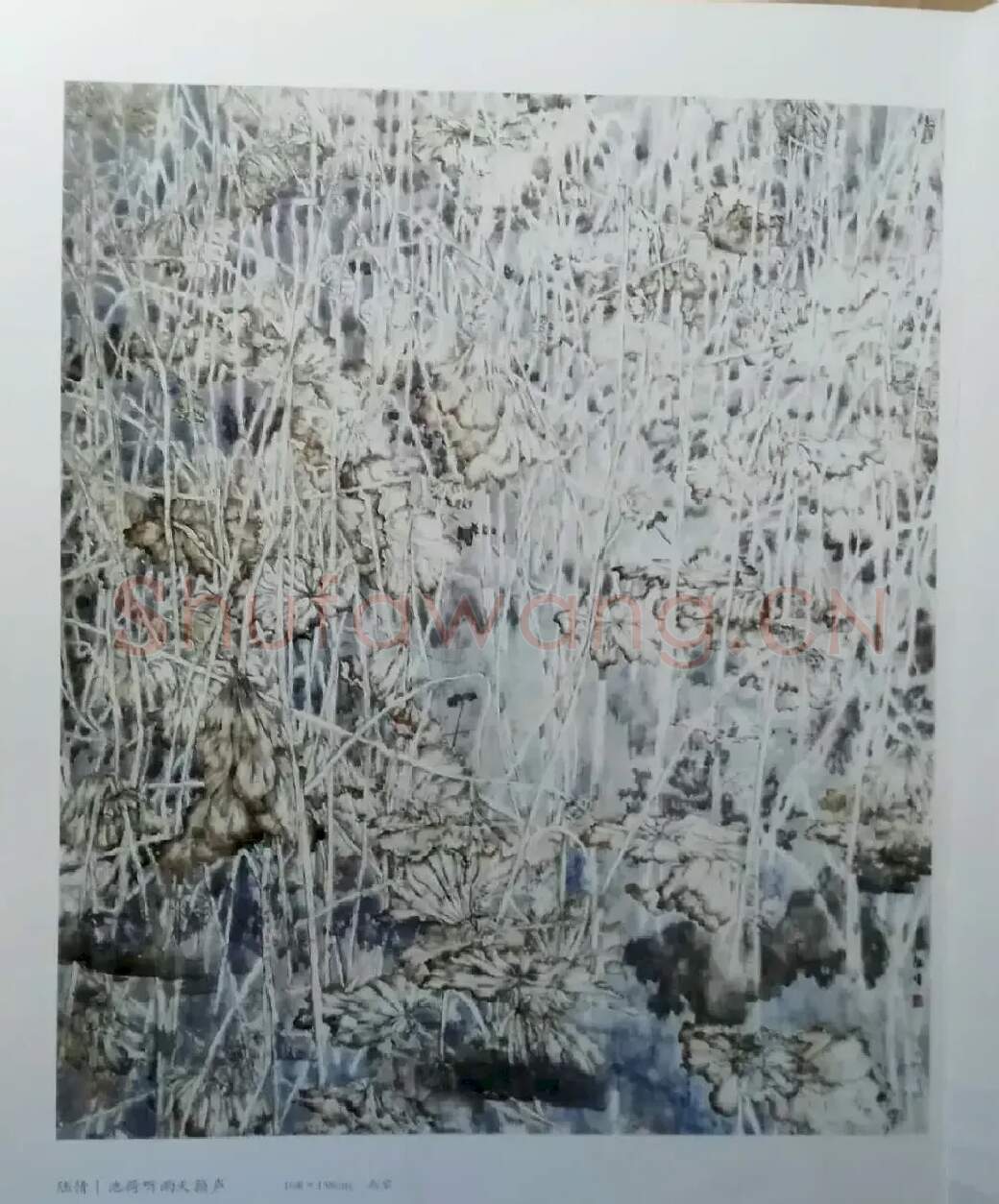 陆倩·池荷听雨天籁声