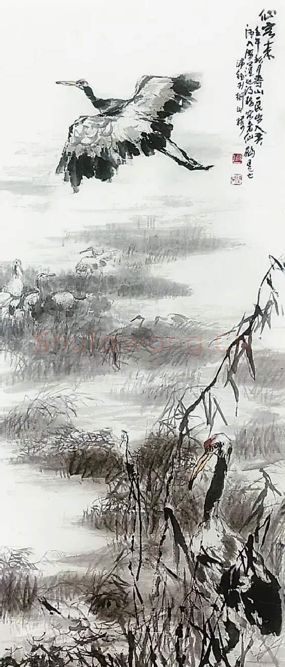 陈沛钰·仙客来