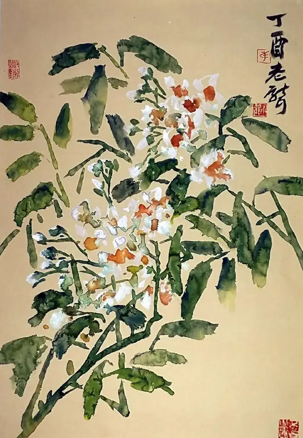 李小龙·作品