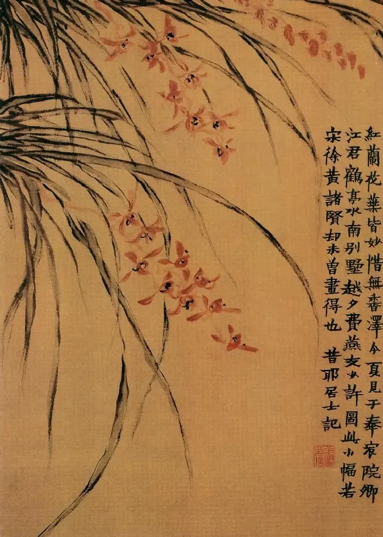 金农·红兰花图