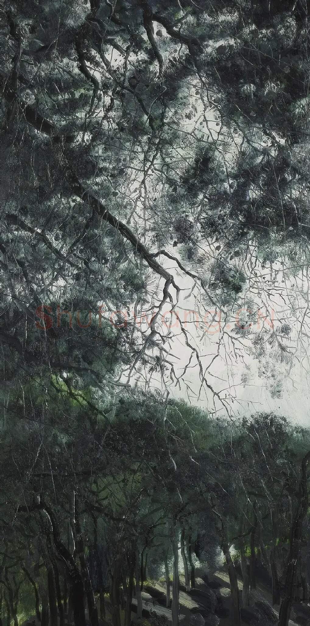 李江峰·松之梦 