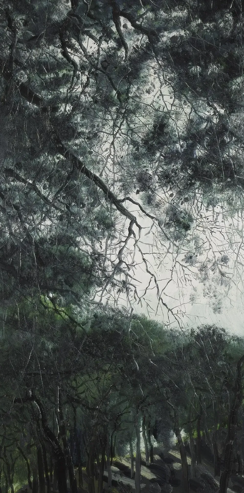 李江峰·松之梦 