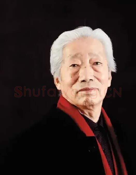 王维辛