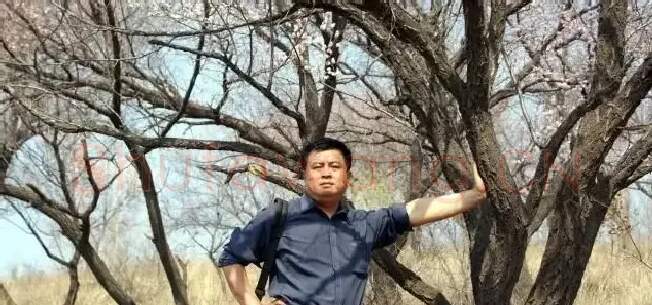王金海