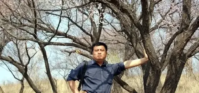 王金海