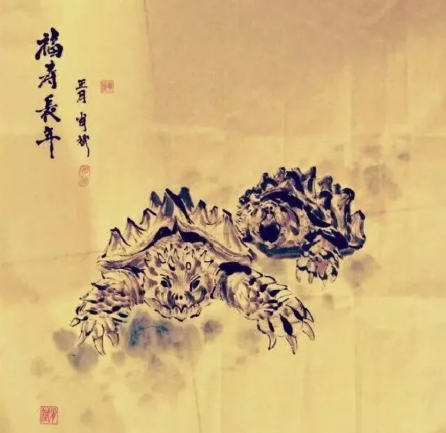 肖斌·龟