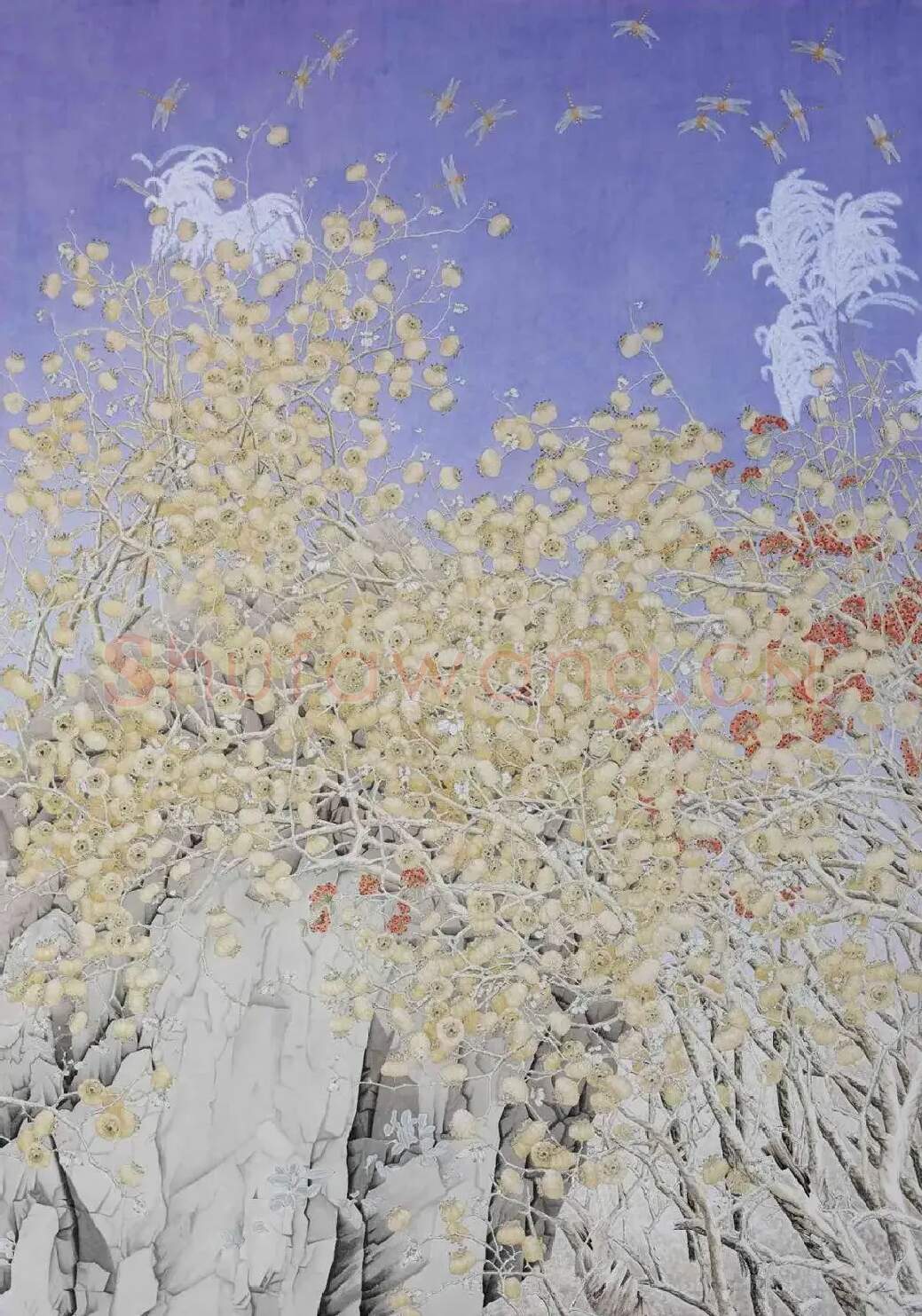 朱瑞·瑞秋