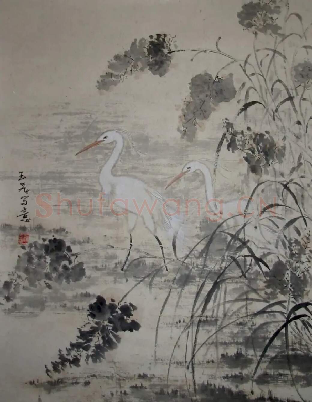董玉飞·国画白鹭