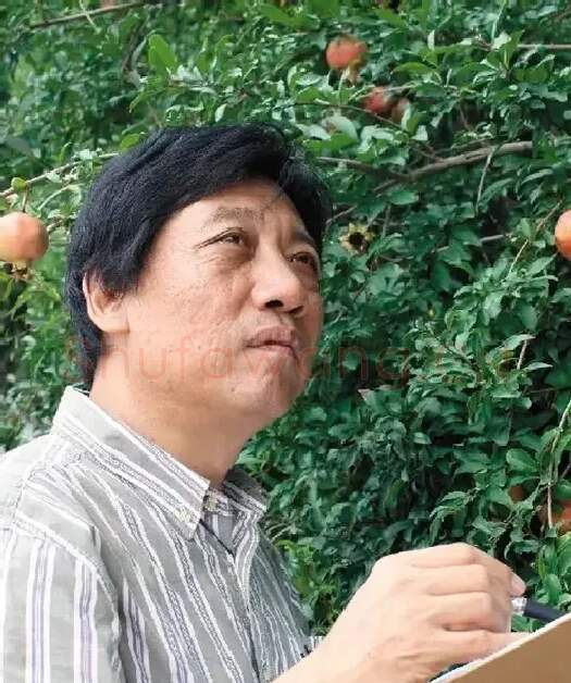 雷家民