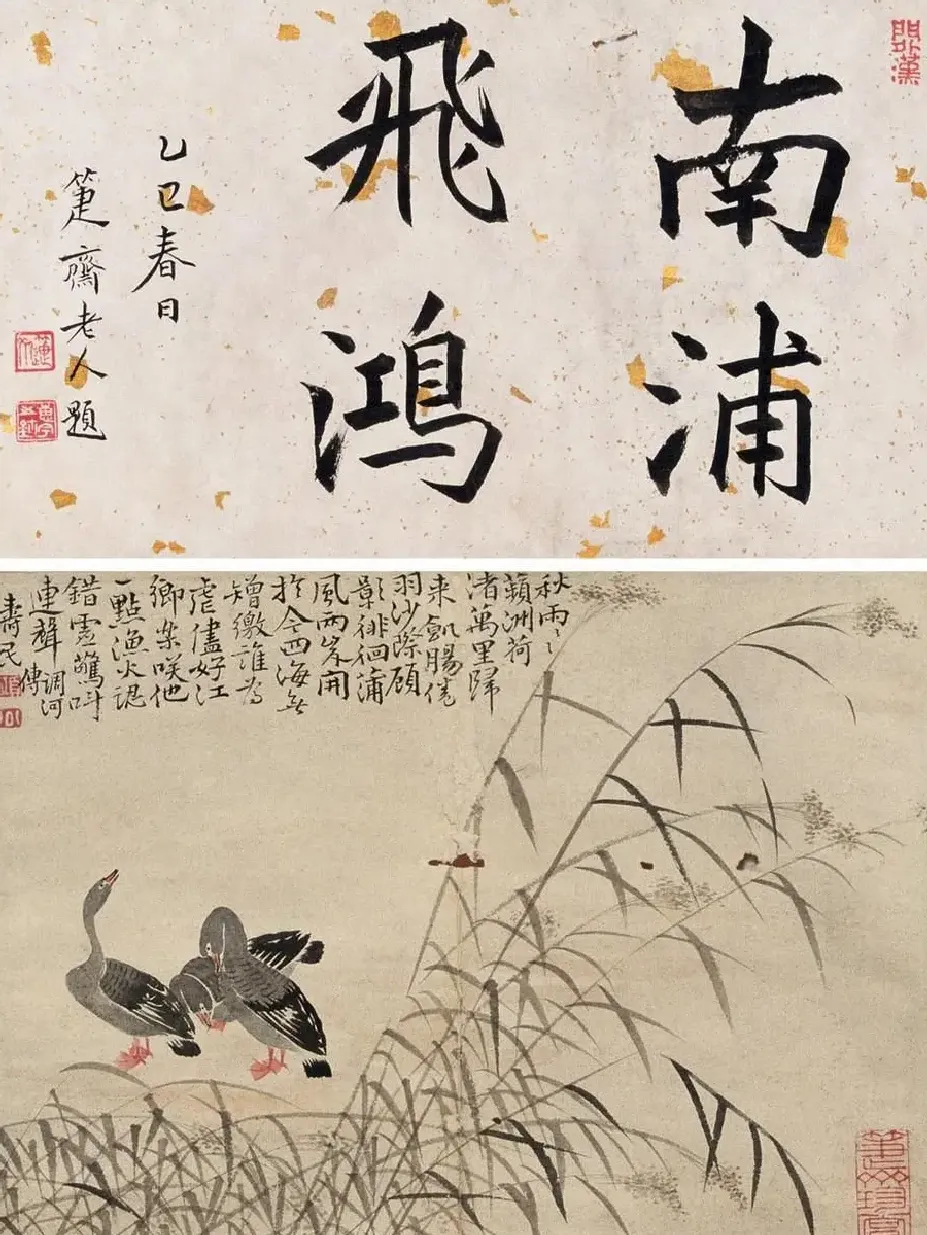 边寿民·苹洲息雁图