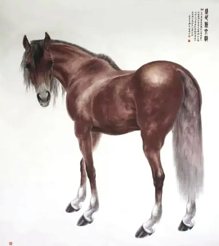 雷晓宁·盛世新六骏