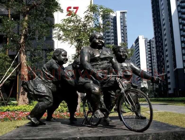 许鸿飞·卫星