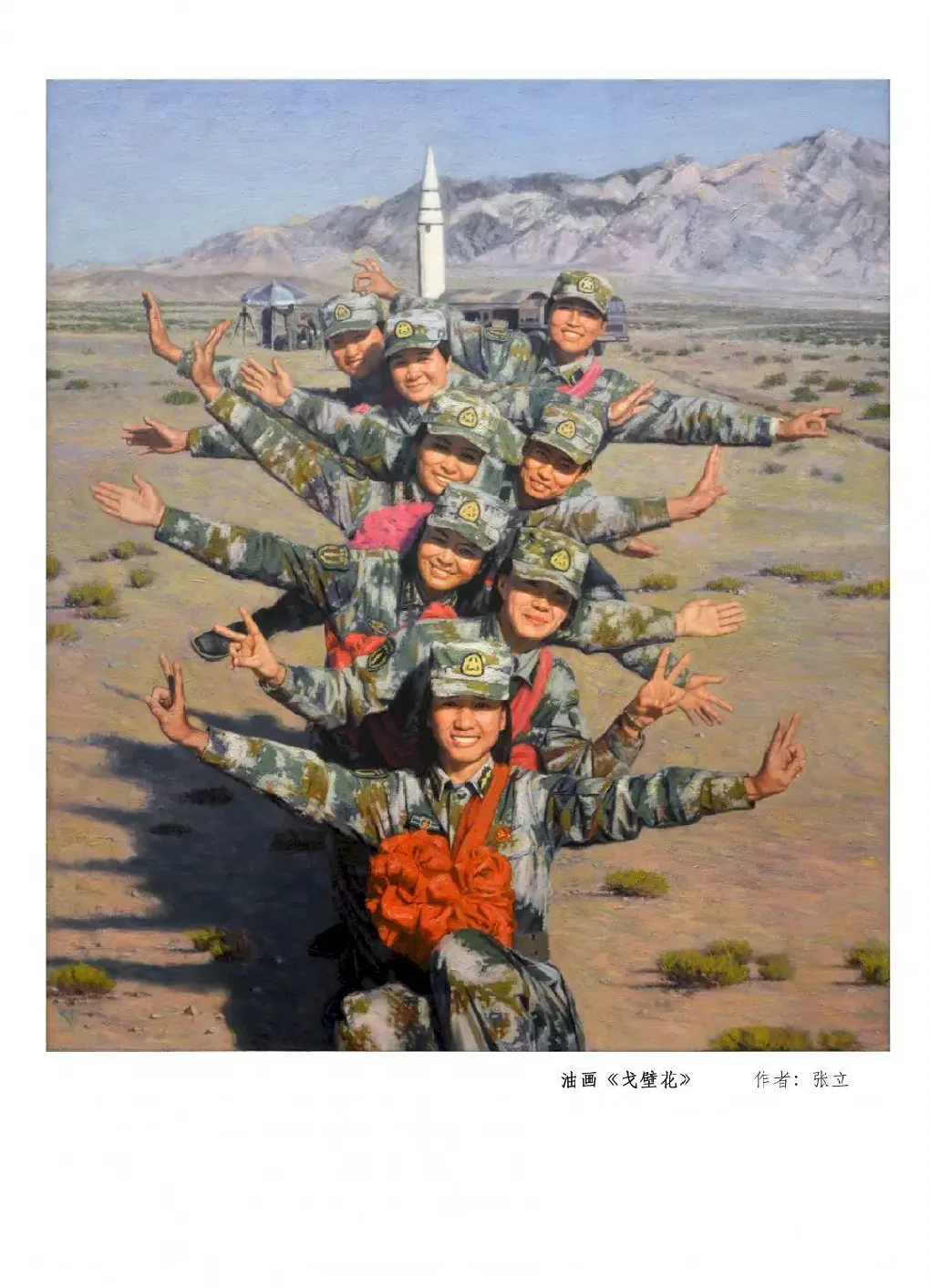 张立·戈壁花