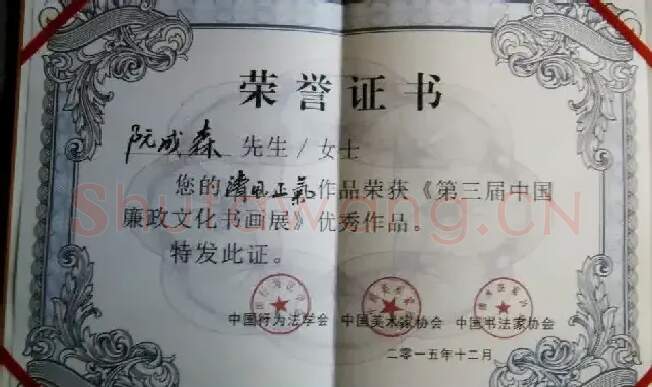 阮成森·证书