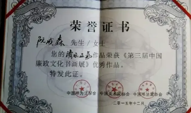 阮成森·证书