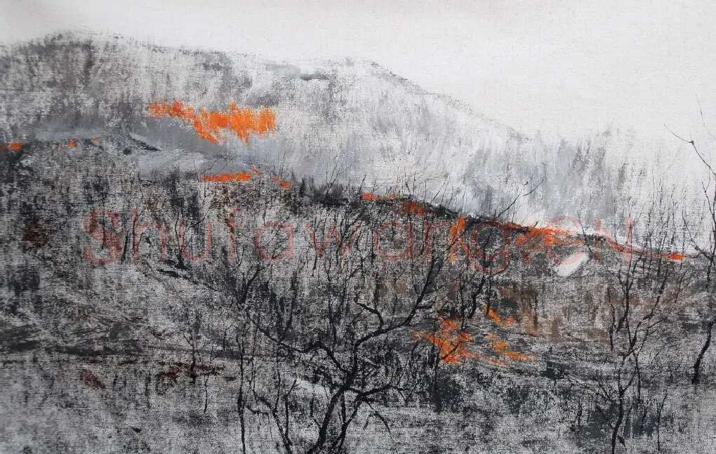 黄卓君·野火