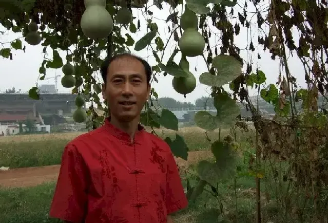 王来胜