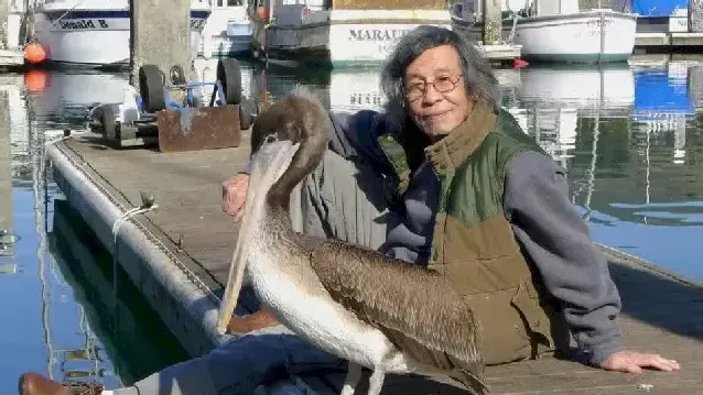 关则驹