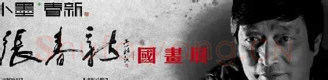 张春新