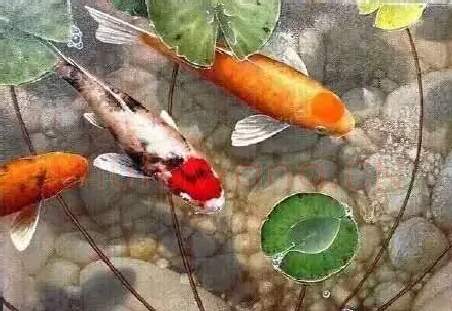 申子健·9鱼图