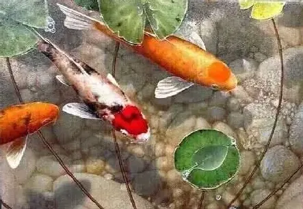 申子健·9鱼图