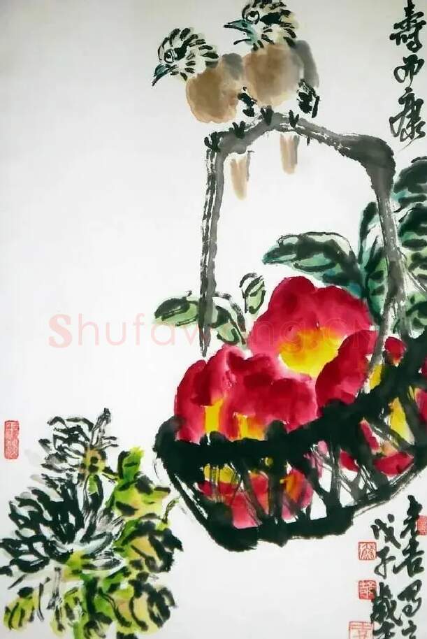 苏荐洁·康而寿