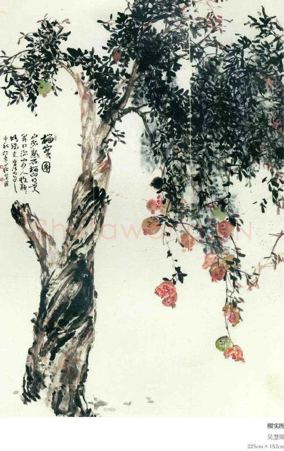 吴慧圆·《榴实图》
