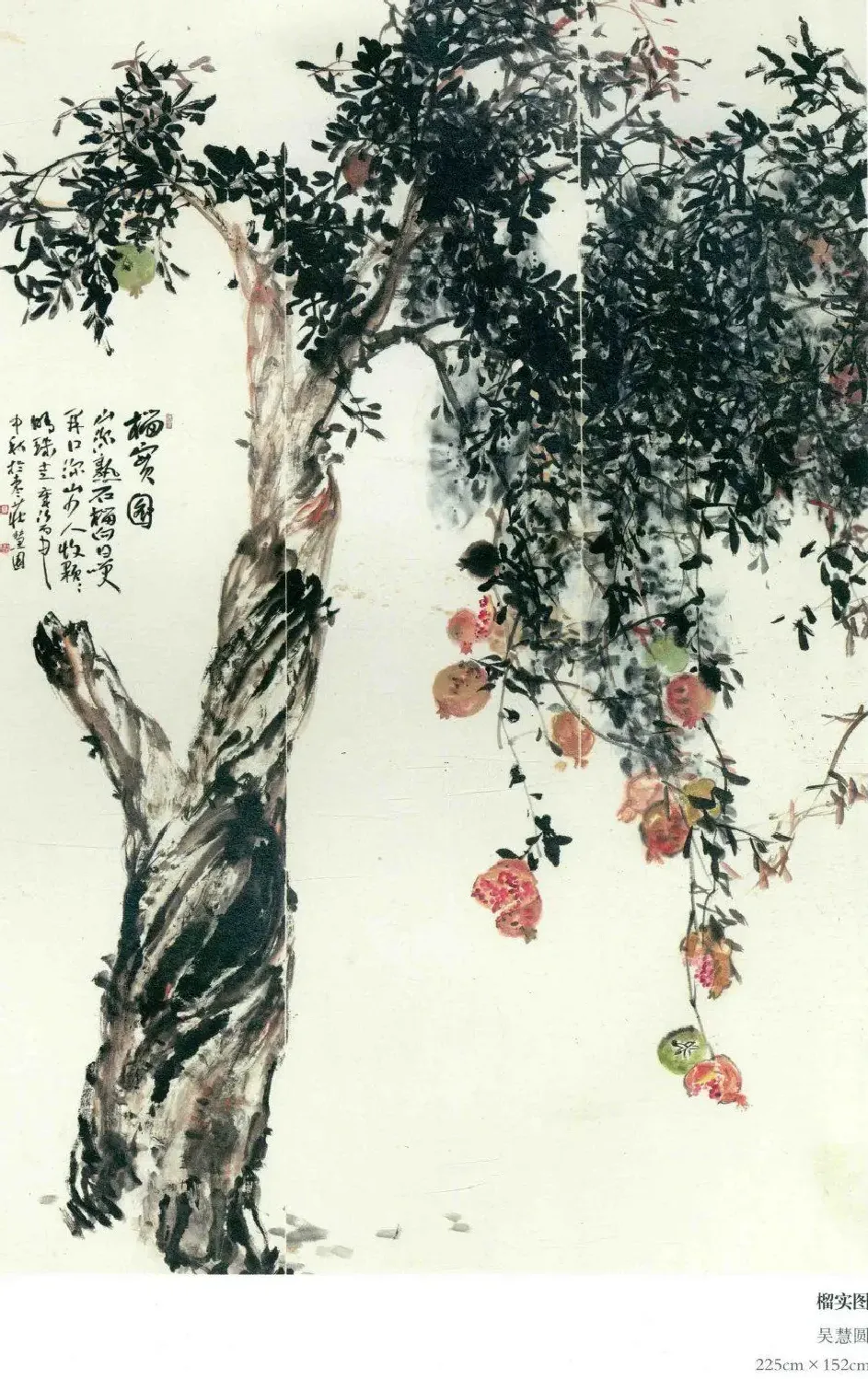 吴慧圆·《榴实图》