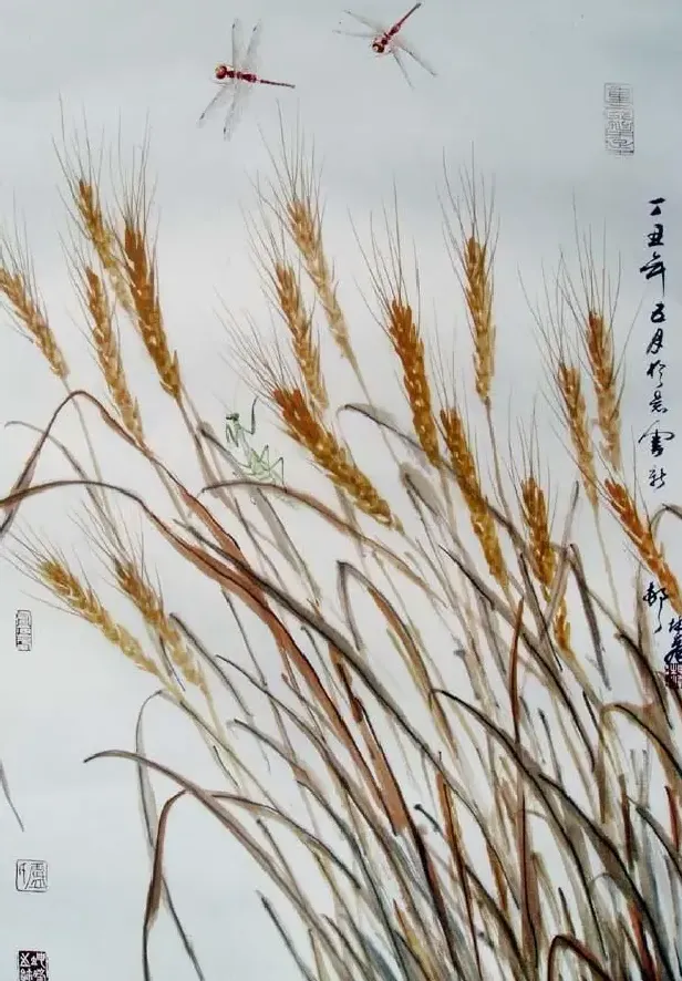 卢坤峰·丰年