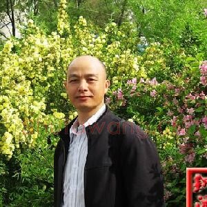 蒙希平