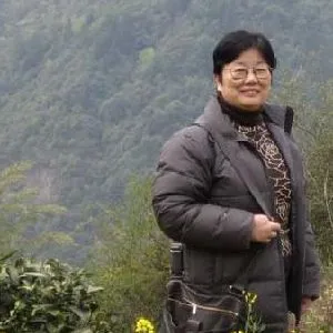 张晓星