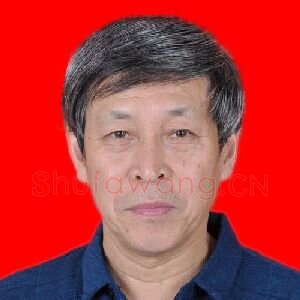 左光华