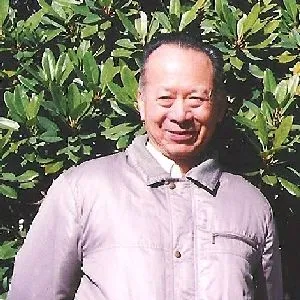 郑炯灶