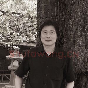 卢志强